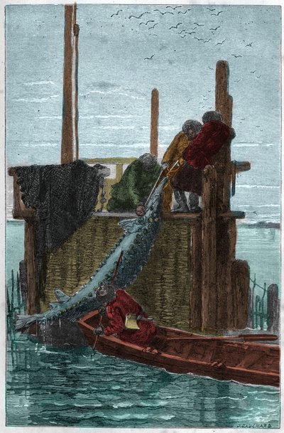 Pêche à l