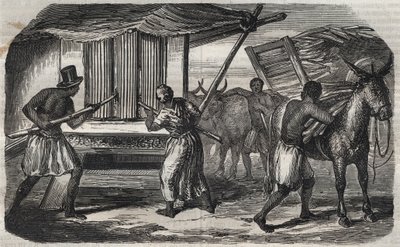 Fabrication du sucre : un moulin à canne à sucre dans une sucrerie aux Antilles. Gravure de 1859. - Unknown artist