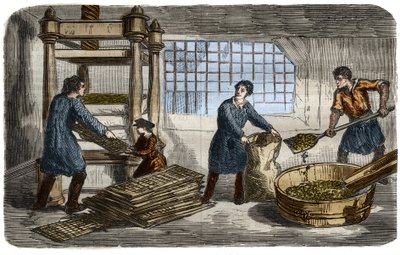 Fabrication du sucre : extraction du jus de pulpe de betterave. La pulpe est entassée dans des sacs empilés sous le plateau d