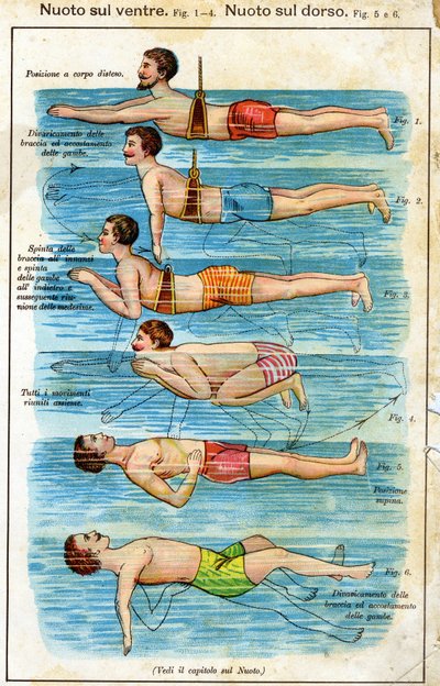 Nage sur le ventre - dans Bilz, Médication naturelle, fin du 19ème siècle - Unknown artist