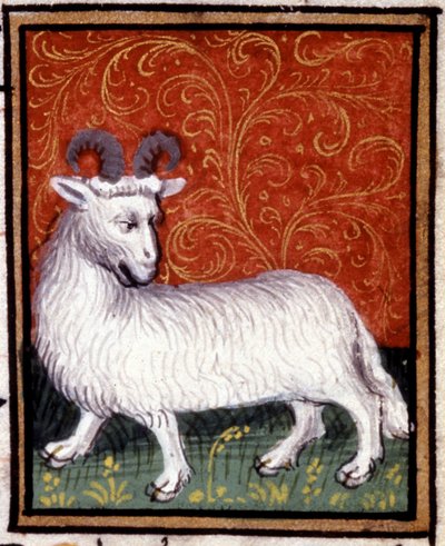 Le Bélier. Miniature d