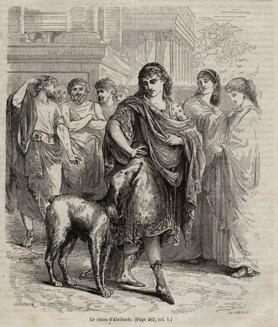 Le chien d