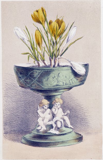 Les Quatre Saisons : Printemps, Jonquilles - Unknown artist