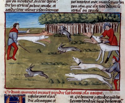 La chasse au lièvre (miniature du « Livre de la chasse » de Gaston III Phoebus) - Unknown artist