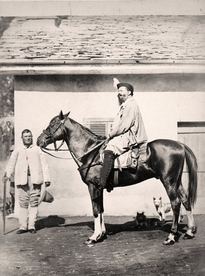 Le roi d