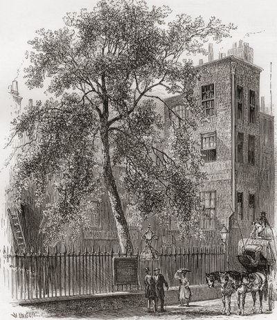 Le platane, Wood Street, Cheapside, Londres, Angleterre au XIXe siècle - Unknown artist
