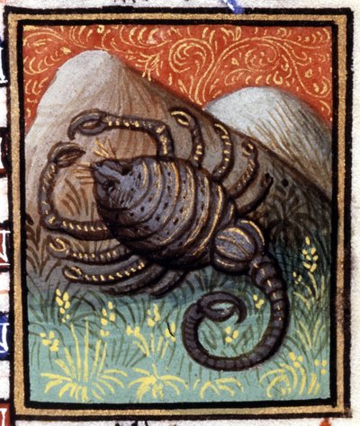 Le Scorpion. Miniature d