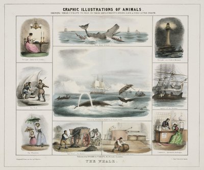 La baleine", vers 1845 - Unknown artist