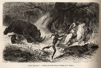 La charge du rhinocéros qui renverse et piège les chasseurs, lors de la recherche de l