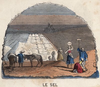 La récolte du sel. Illustration du XIXe siècle. Collection Bianchetti. - Unknown artist