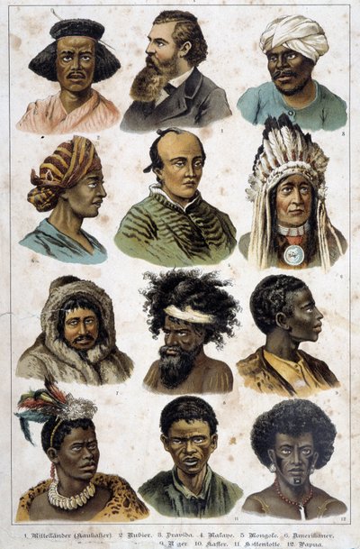 Les différentes races humaines - Unknown artist