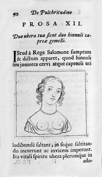 La poitrine féminine. Page tirée de "Tractatus physiologicus de pulchritudine" traitant d