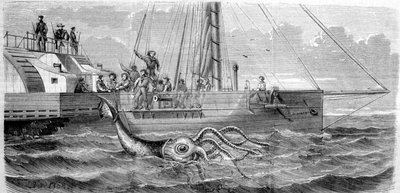 Le premier calmar géant capturé en 1861 par la corvette française Alecton. Alors que l