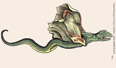 Le dragon volant Amphiptère. Gravure dans Historia Animalium par Conrad Gesner (1516-1565), Tiguri - Unknown artist