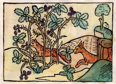 Le renard et les raisins. Fable d