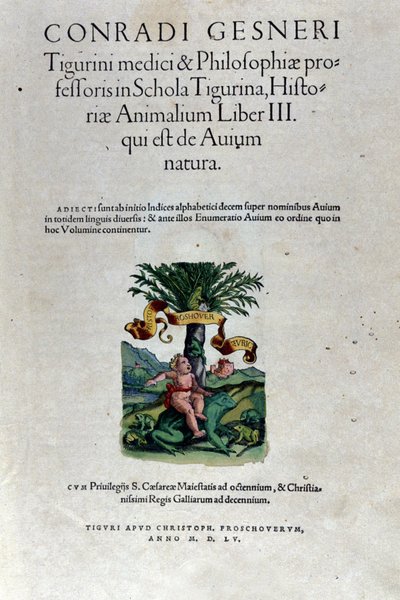 Le frontispice du troisième volume de Historia Animalium de Conrad Gesner (1516 - 1565), Tiguri - Unknown artist