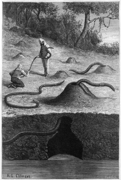 Le ver de terre géant d