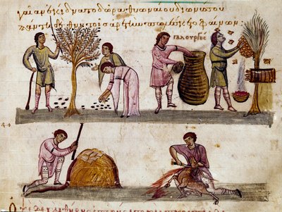 La récolte des olives, la production de miel et l