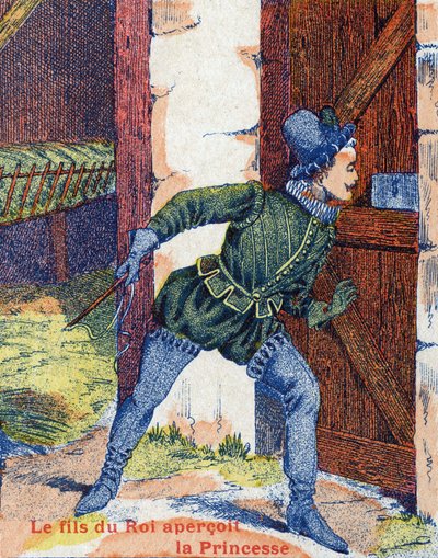Le fils du roi vit la princesse. Illustration pour « Peau d