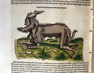 La manticore de l