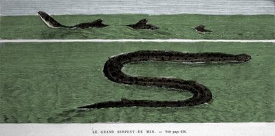 Le serpent de mer observé en 1872 dans l