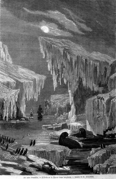 Les navires "Erebus" et "Terror" lors de l