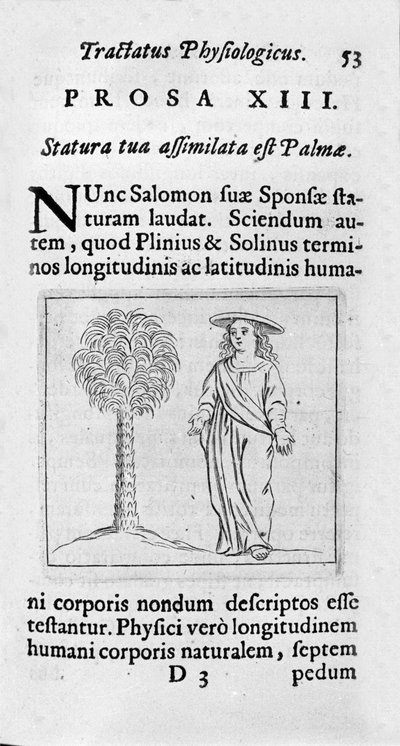 La taille de la femme. Page tirée du « Tractatus physiologicus de pulchritudine » traite d