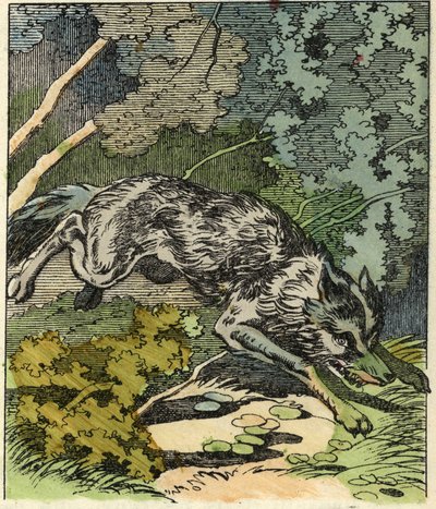 Le loup court vers la maison de Grand-mère. Illustration du conte « Le Petit Chaperon Rouge » de Charles Perrault. - Unknown artist