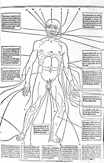 Cette image montre les endroits du corps pour pratiquer la saignée selon la douleur. Traité de Médecine par Gerolamo Cardano (Cardanus Hieronymus), Florence - Unknown artist