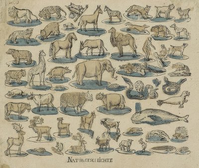 Animaux. 1750-1800 - Unknown