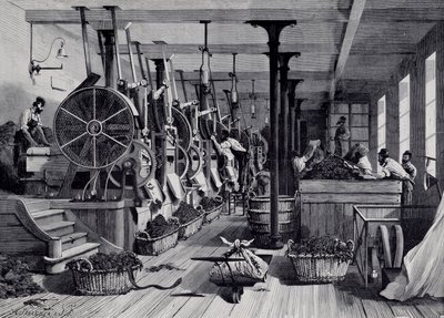 Usine de tabac, buanderie et râpage de tabac. Gravure vers 1867. Paris, Musée Carnavalet - Unknown artist