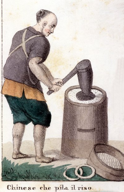 Un chinois qui pille le riz - dans Il costume universale di tutti i popoli del mondo - Unknown artist