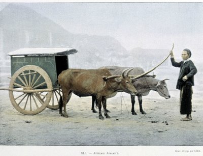 Attelage vietnamien, « Tour du monde », fin du 19ème siècle - Unknown artist