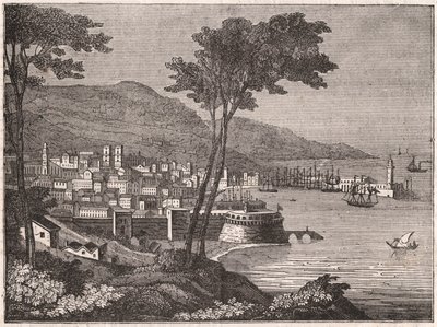 Vue d