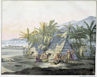 Vue dans les îles Sandwich - dans "Vues et paysages des régions équinoxiales, recueillies lors d