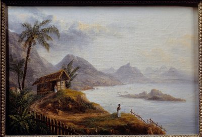 Vue de la Martinique - Unknown artist