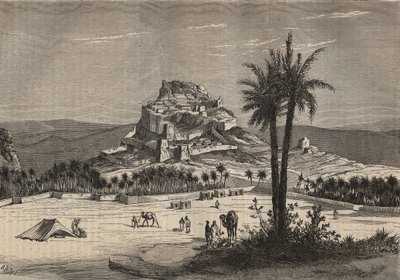 Vue de Oued el Golea (El Menia ou El Menea anciennement El Golea) en Algérie au sud de la province d