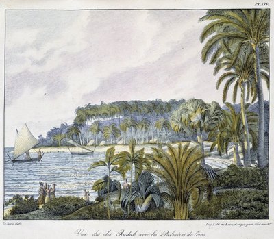 Vue des îles Radak de l