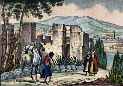 Vue de la ville de Tlemcen (ou Tilimsen) en Algérie. Dans Storia d