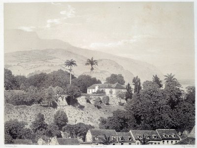 Vue des maisons prises du Boulevard de la Comédie à Saint Pierre en Martinique aux Antilles. Estampe d