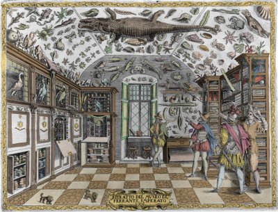 Vue du musée (cabinet) de curiosités (musée encyclopédique) du pharmacien Ferrante Imperato (1550-1631). Gravure de 1678. Musée de l