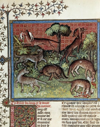 Nous mottons le loup et toute sa nature. Miniature de Gaston Phoebus dit Gaston III Comte De Foix - Unknown artist