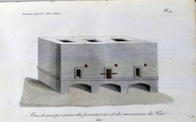 Cuve de fermentation du vin. Planche tirée de « Giornale dell