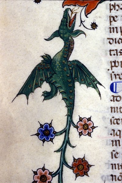 Dragon ailé, Caspic, sur un manuscrit du 14ème siècle, Milan, Biblioteca Nazionale Braidense. - Unknown artist