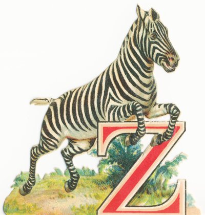Z : Zèbre - Unknown artist