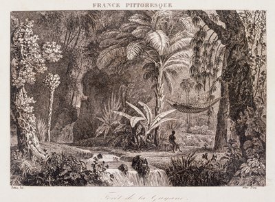 Gravure représentant la colonie française de Guyane en Amérique du Sud 1850 - Unknown artist