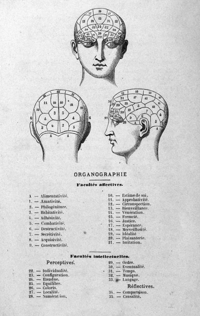 Illustration du livre de Charles Rouvin de 1873 Organographie La Tête humaine, études illustrées de phrénologie et de physionomie appliquées à des personnages célèbres Paris 1873 - Unknown artist