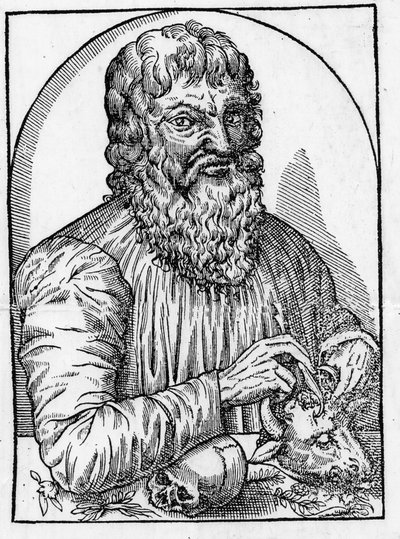 Portrait d