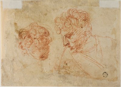 Deux esquisses de têtes (recto) ; deux esquisses de femmes drapées (verso) - Unknown Florentine