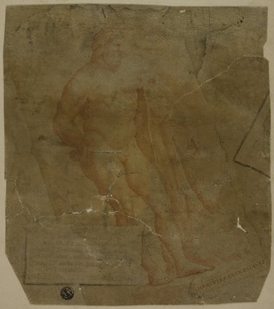 Hercule - Unknown Italian